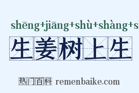 生姜树上生是什么意思的图片